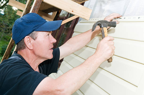 Best Fascia and Soffit Installation  in Lindenhurst, IL